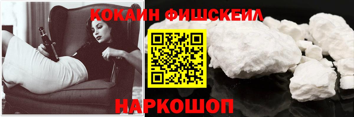COCAIN Fish Scale  Вход с VPN  COCAIN  Миллерово 