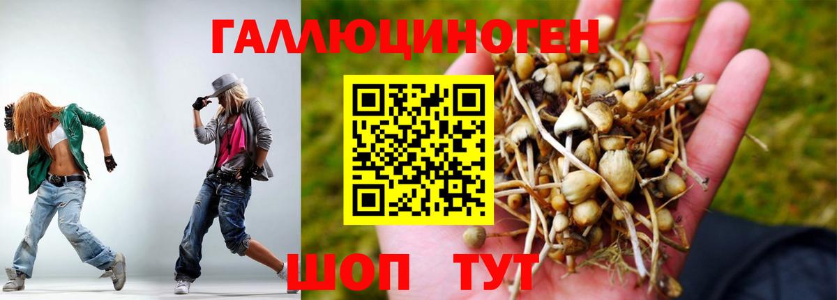 Галлюциногенные грибы Psilocybine cubensis  Вход с VPN  Миллерово  Галлюциногенные грибы Cubensis 